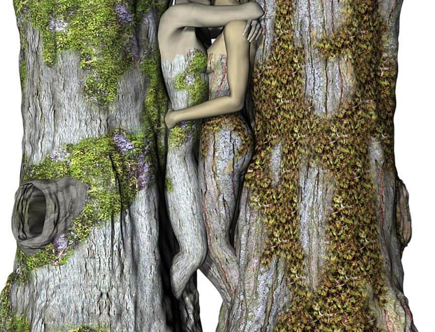 Ai ales perechea perfectă pentru a-ți insănătoși arborele genealogic
