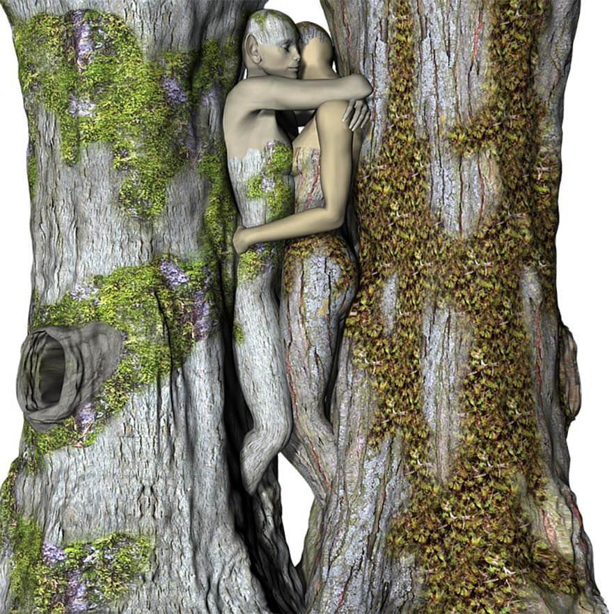 ai-ales-perechea-perfecta-pentru-a-ti-insanatosi-arborele-genealogic